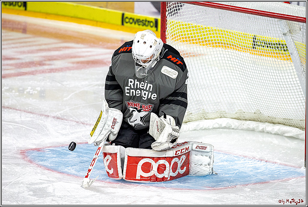 DEL; Koelner Haie - Fischtowns Pinguins Bremerhaven, 24.01.2019